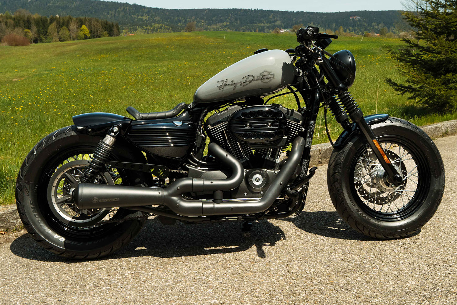 Harley-Davidson Sportster Nardo Grey